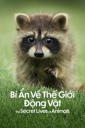 Az állatok titkos élete poszter