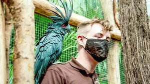 Expédition Pairi Daiza 7. évad Ep.1 1. epizód