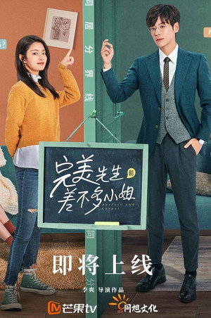完美先生和差不多小姐 poszter