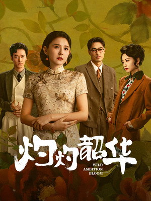 灼灼韶华 poszter