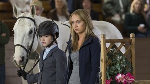 Heartland 7. évad Ep.2 2. epizód
