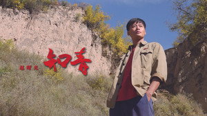 知青 kép
