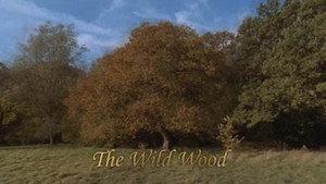Natural World 23. évad Ep.6 6. epizód