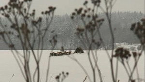 Богатство 1. évad Ep.9 9. epizód