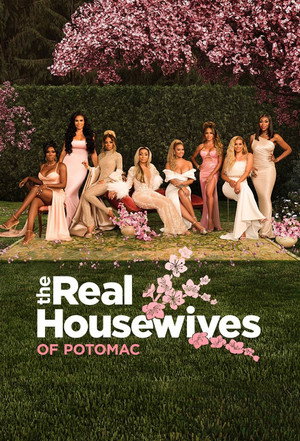 The Real Housewives of Potomac 8. évad (2023-11-05) poszter