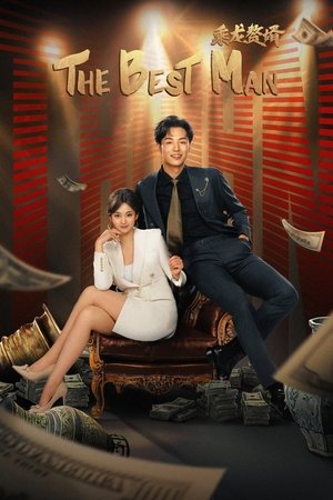 乘龙赘婿 poszter
