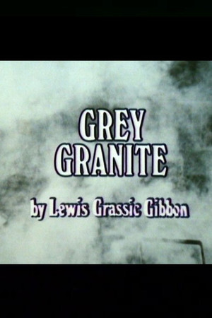 Grey Granite