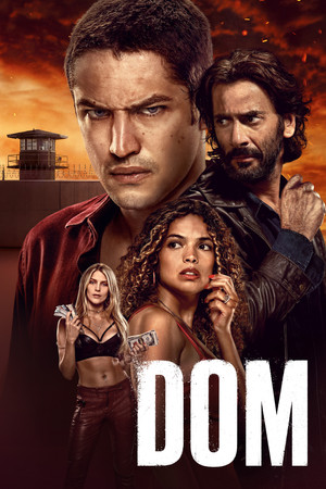 DOM poszter
