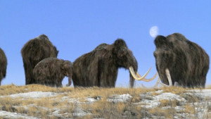 Walking with Beasts kép