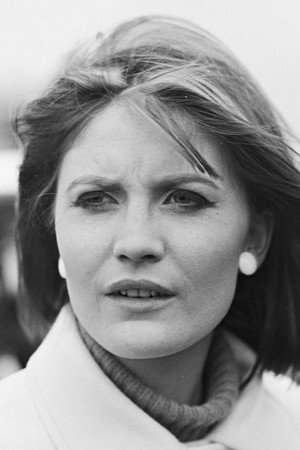 Sandie Shaw profil kép