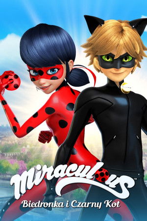 Miraculous Katicabogár és Fekete Macska kalandjai poszter