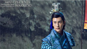 天泪传奇之凤凰无双 kép
