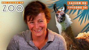 Une saison au zoo 6. évad Ep.24 24. epizód