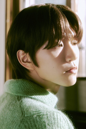 재희 profil kép