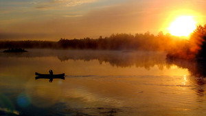 Ray Mears' Northern Wilderness kép
