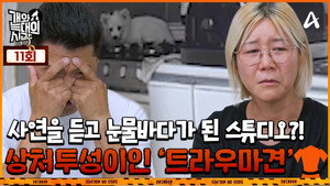 개와 늑대의 시간 1. évad Ep.11 11. epizód