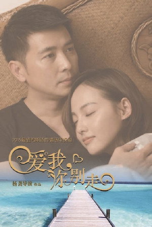 爱我，你别走 poszter