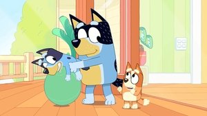 Bluey 1. évad Ep.16 Jógalabda