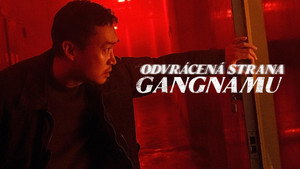 Gangnam sötét oldala kép