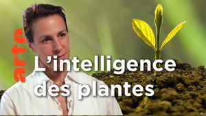Les idées larges 1. évad Ep.4 4. epizód