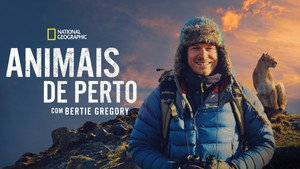 Az állatok világa Bertie Gregoryval kép