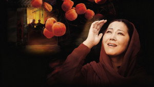 岁岁年年柿柿红 kép