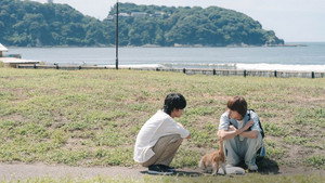 君となら恋をしてみても kép