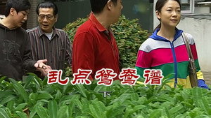 外来媳妇本地郎 6. évad Ep.2549 2549. epizód