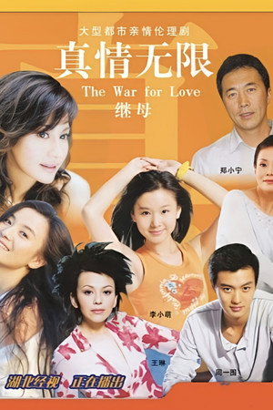 真情无限之继母 1. évad (2006-11-10) poszter