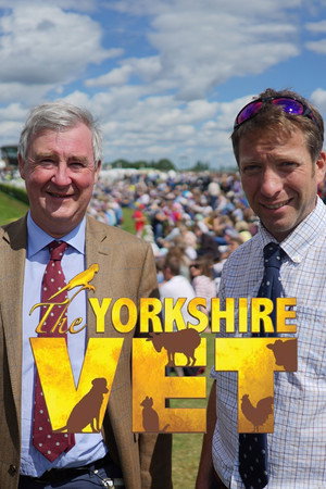 A Yorkshire-i állatorvos poszter