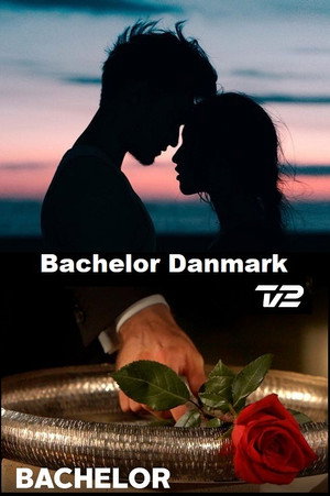 Bachelor Danmark poszter