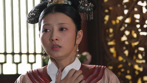 甄嬛传 kép