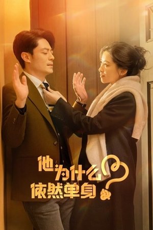 他为什么依然单身 1. évad (2025-11-16) poszter