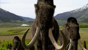 Walking with Beasts kép