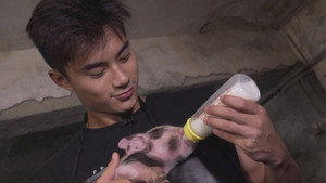 香港原味道 5. évad Ep.3 3. epizód