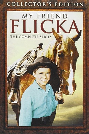 My Friend Flicka poszter