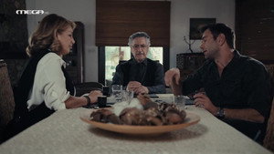 Η Γη Της Ελιάς 3. évad Ep.22 22. epizód