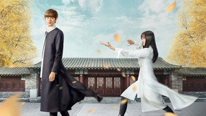 淑女飘飘拳 kép