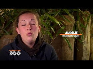 Une saison au zoo 5. évad Ep.32 32. epizód