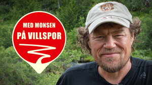 Med Monsen på villspor kép