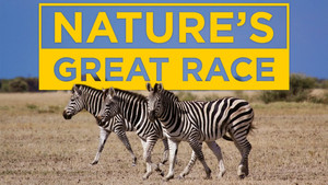 Nature's Epic Journeys kép