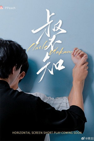 叔不知 poszter