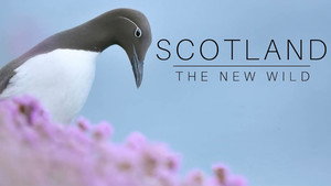 Scotland: The New Wild kép