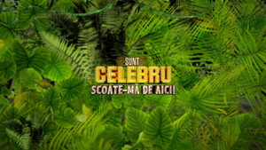 Sunt celebru, scoate-mă de aici! kép