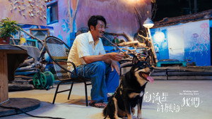向流星許願的我們 kép