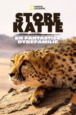 Big Cats: An Amazing Animal Family poszter