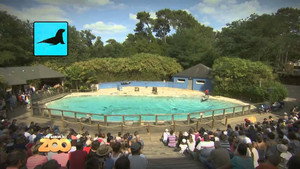 Une saison au zoo 4. évad Ep.3 3. epizód