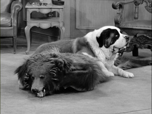 I Love Lucy 4. évad Ep.30 30. epizód