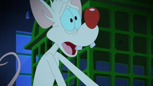 Animaniacs 2. évad Ep.24 24. epizód