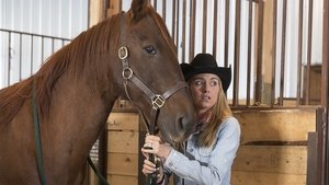 Heartland 7. évad Ep.12 12. epizód